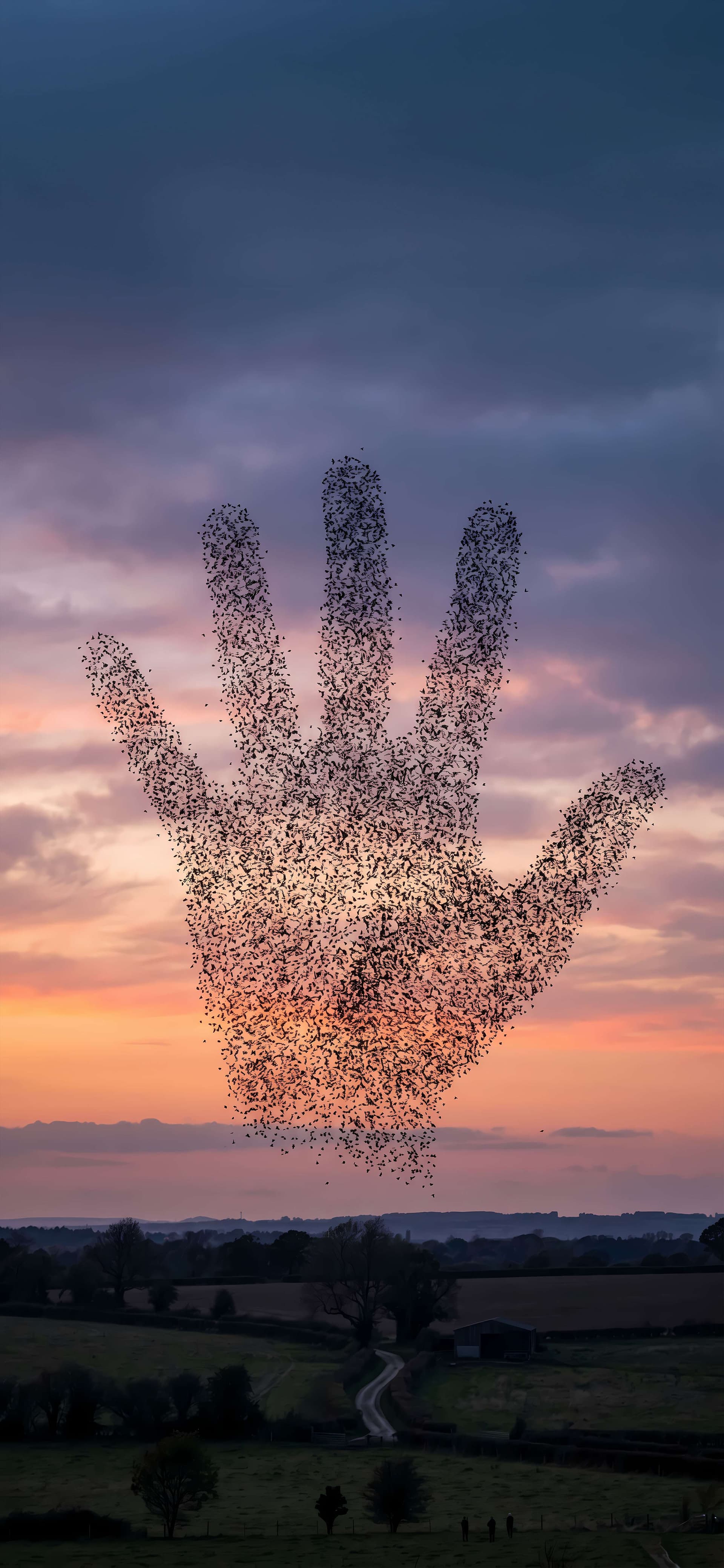 Avian Hand Silhouette - free phone wallpaper