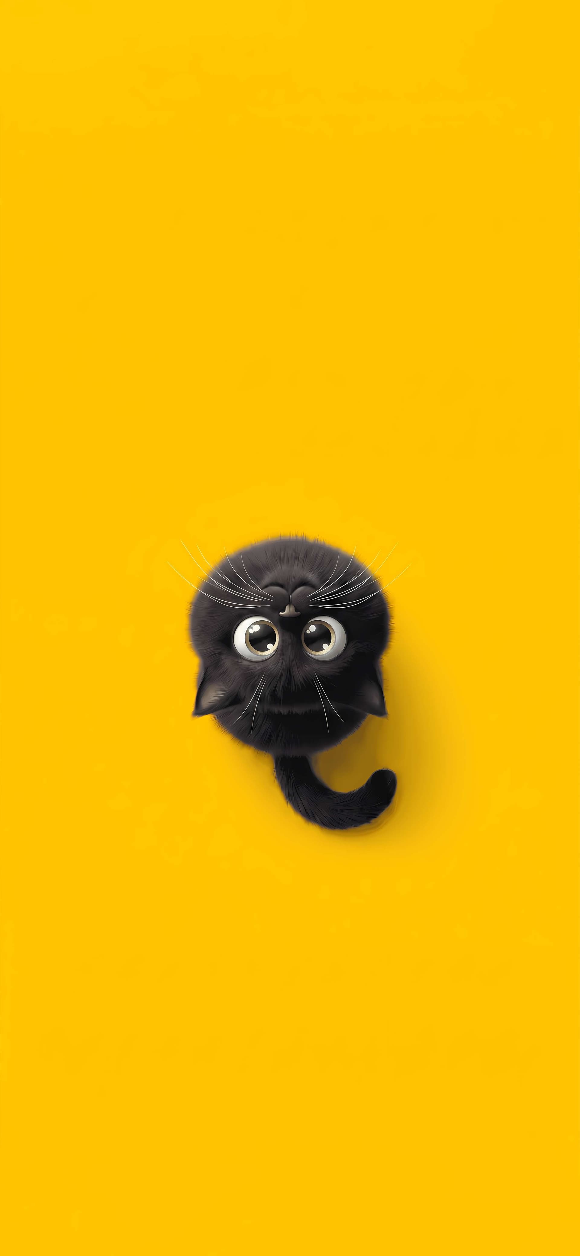 Adorable Fluffy Feline - free phone wallpaper