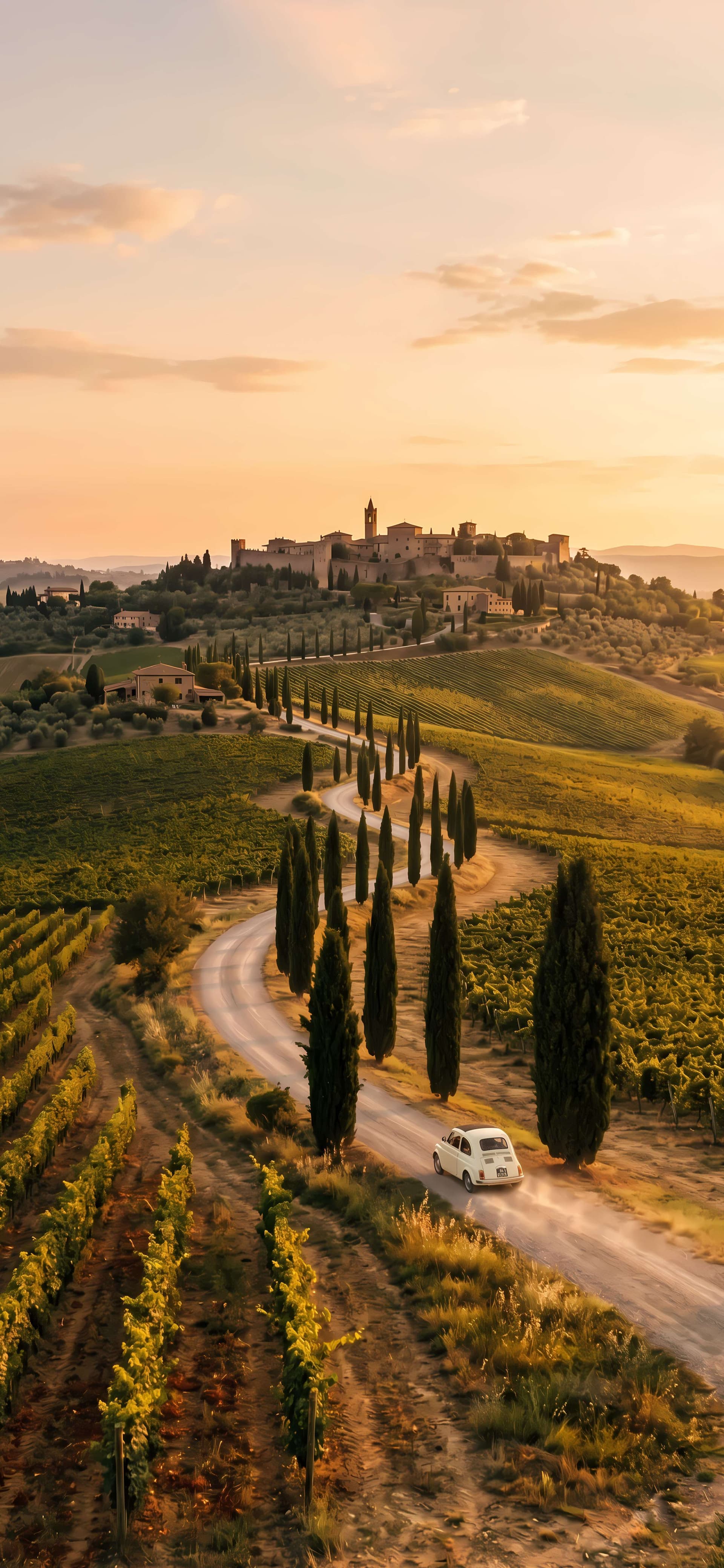 Tuscan Vineyard Road - free phone wallpaper