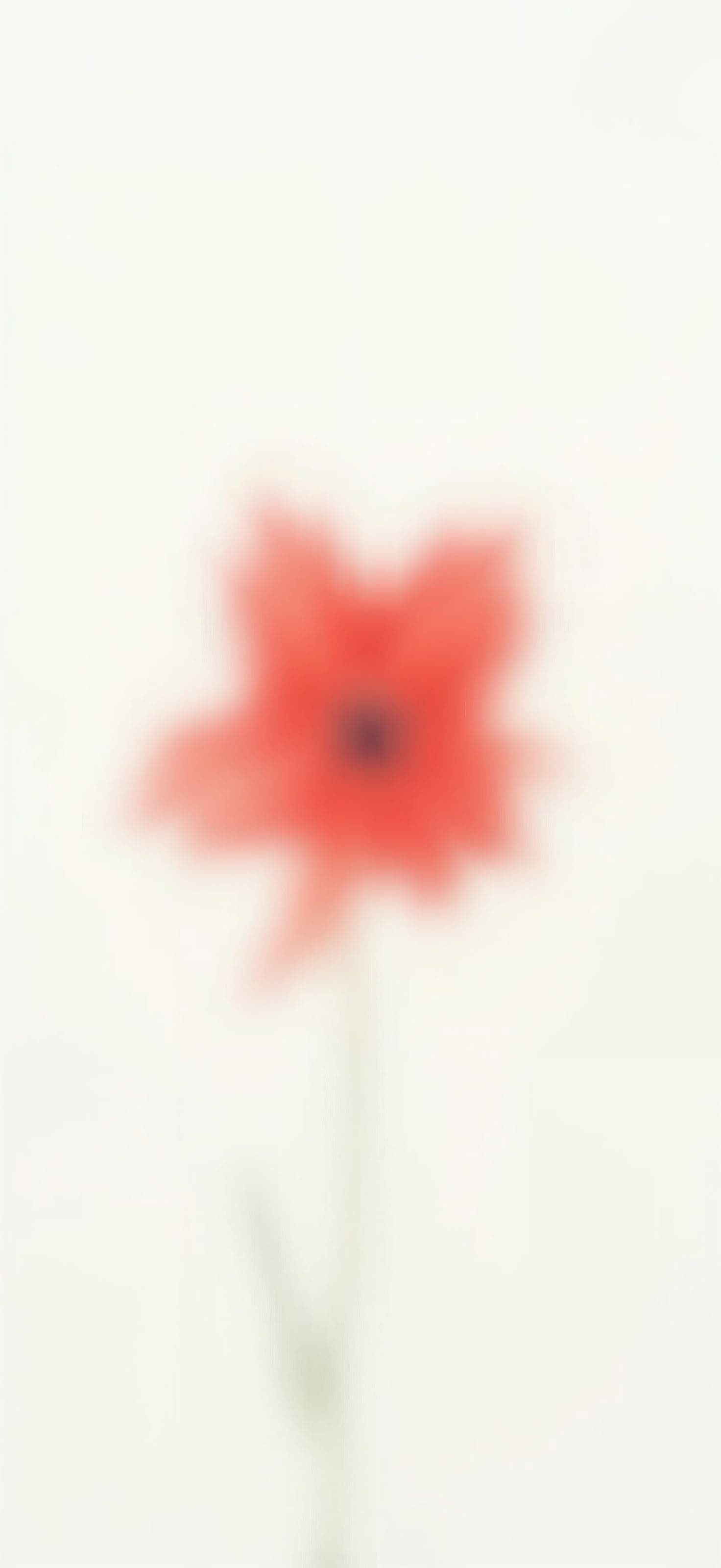Whispering Bloom 1 - free phone wallpaper