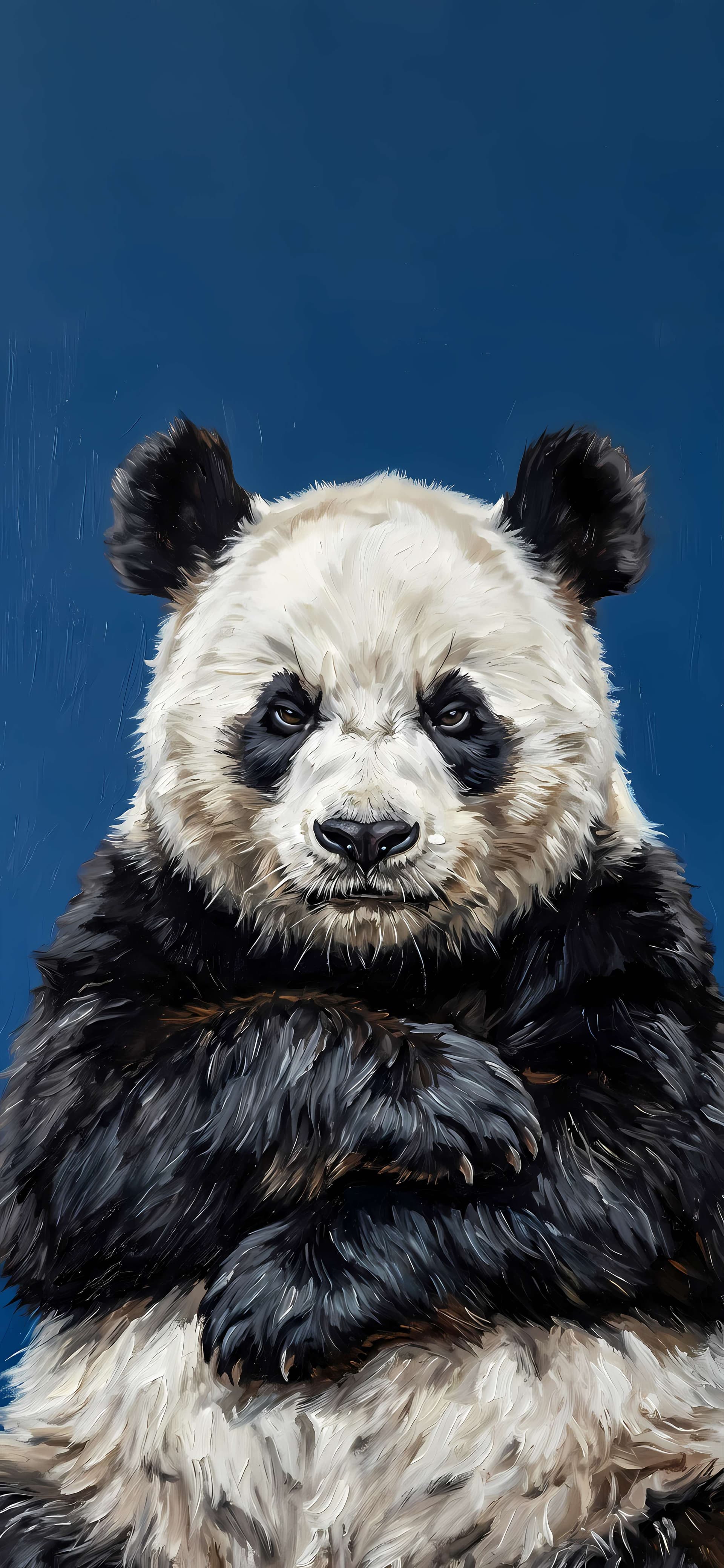 Grumpy Panda Portrait - free phone wallpaper
