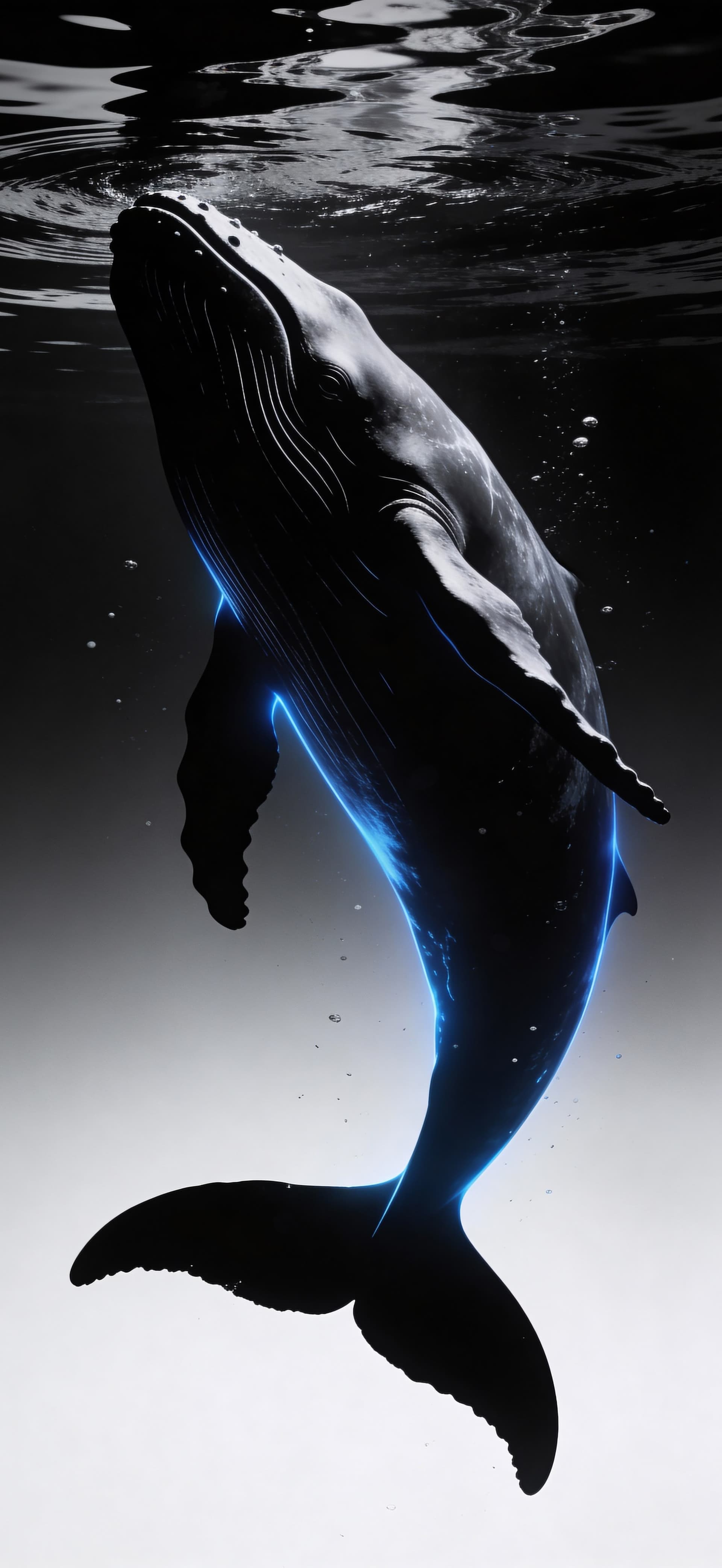 Underwater Whale Glow - Pro phone wallpaper