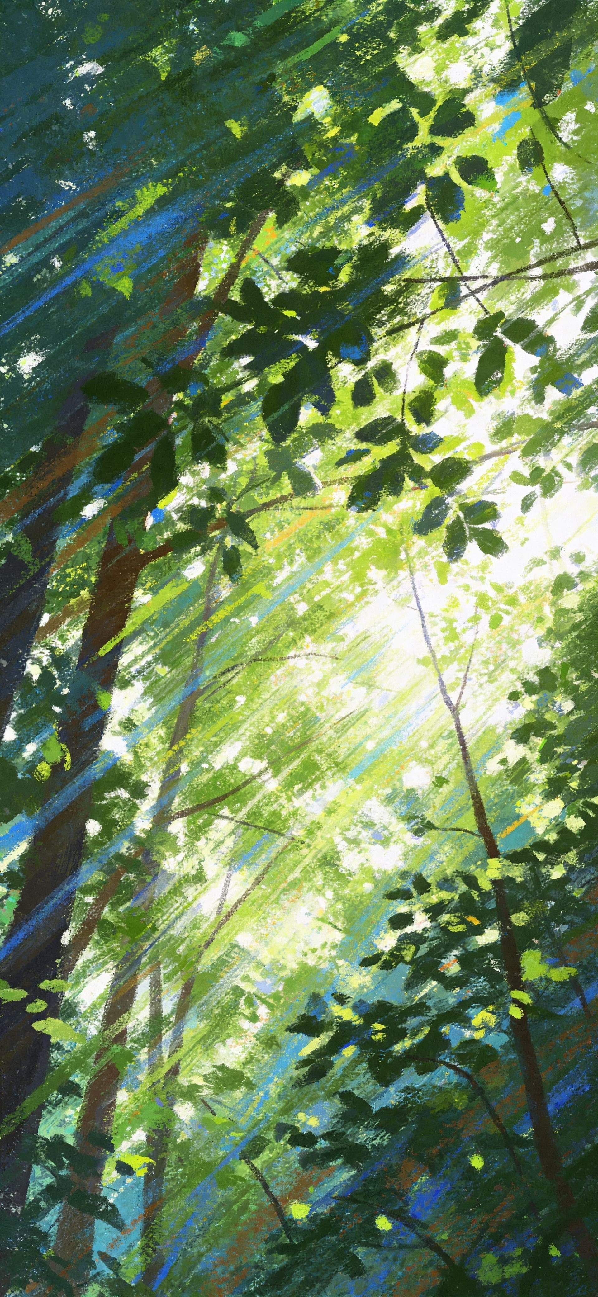Sunlit Forest Canopy - free phone wallpaper