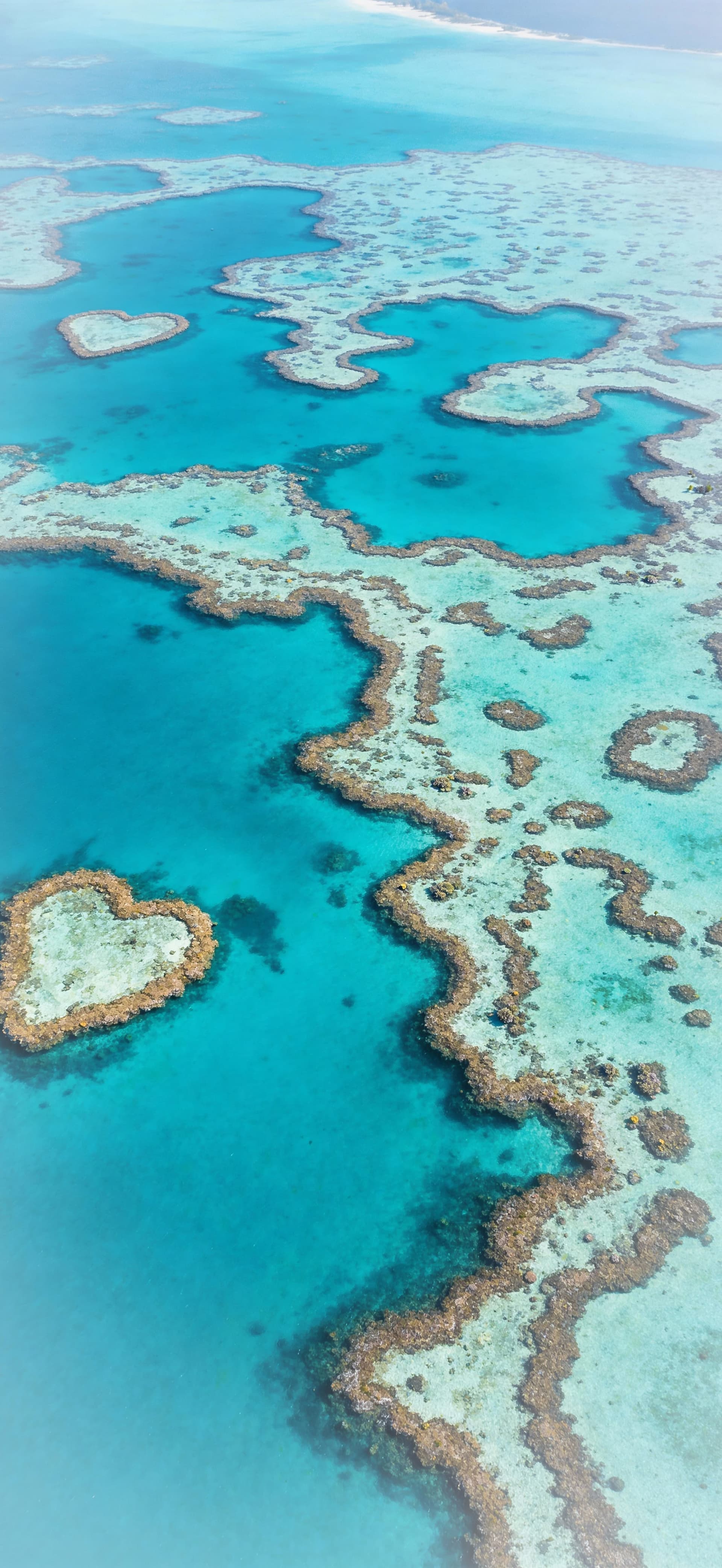Heart Reef Aerial - Pro phone wallpaper