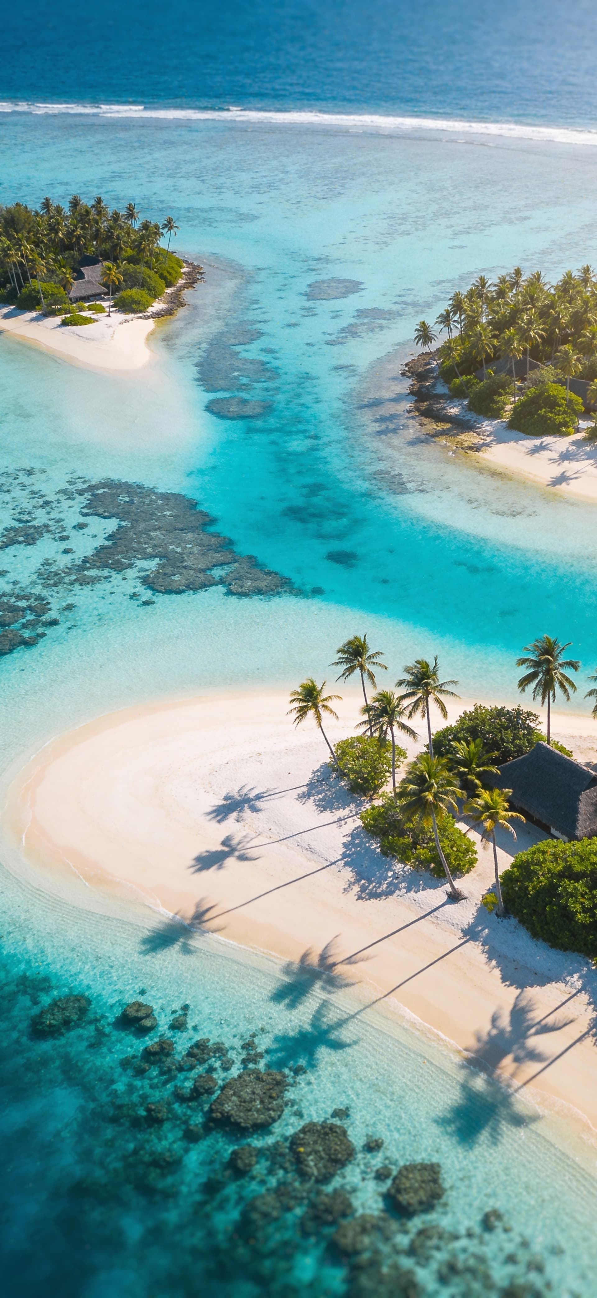 Tropical Island Paradise 3 - Pro phone wallpaper