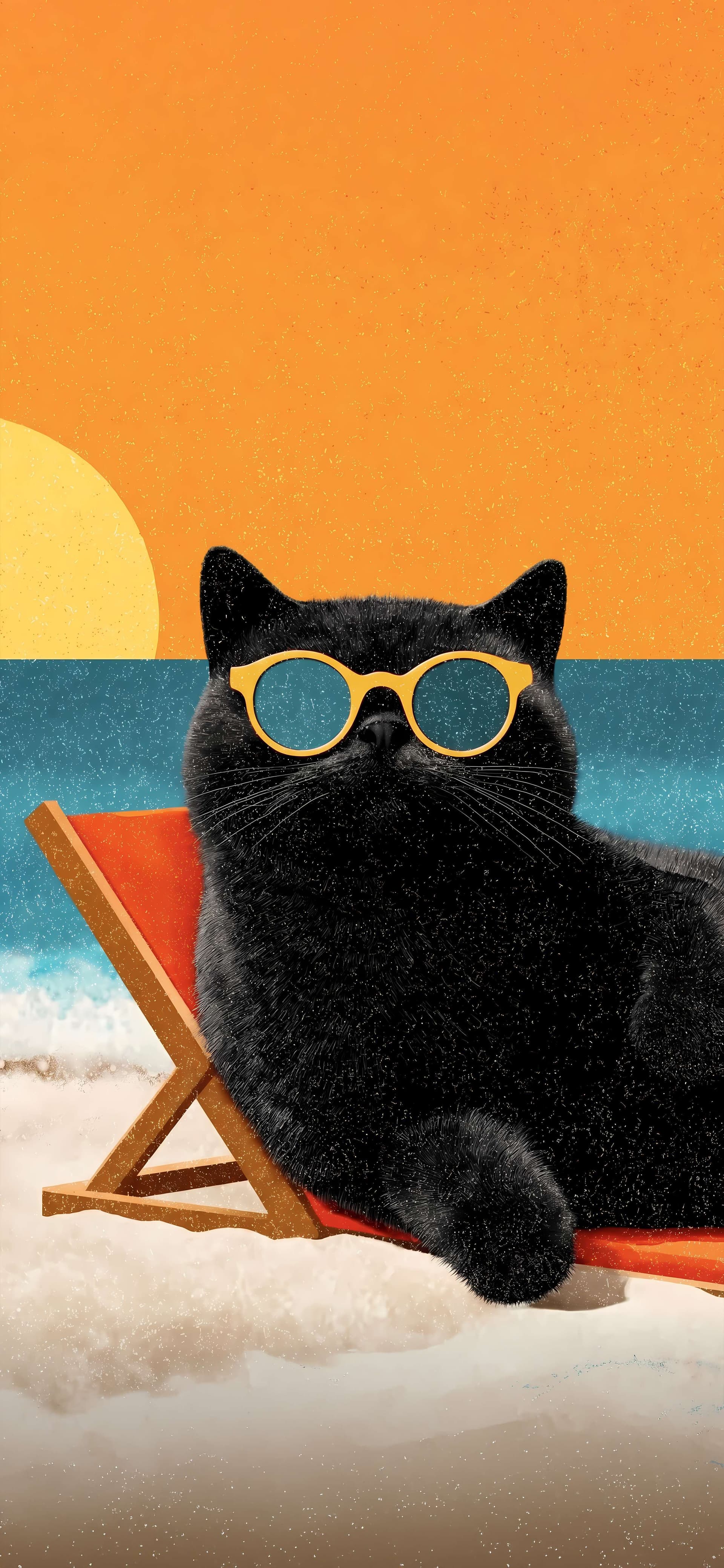 Cool Beach Cat - Pro phone wallpaper