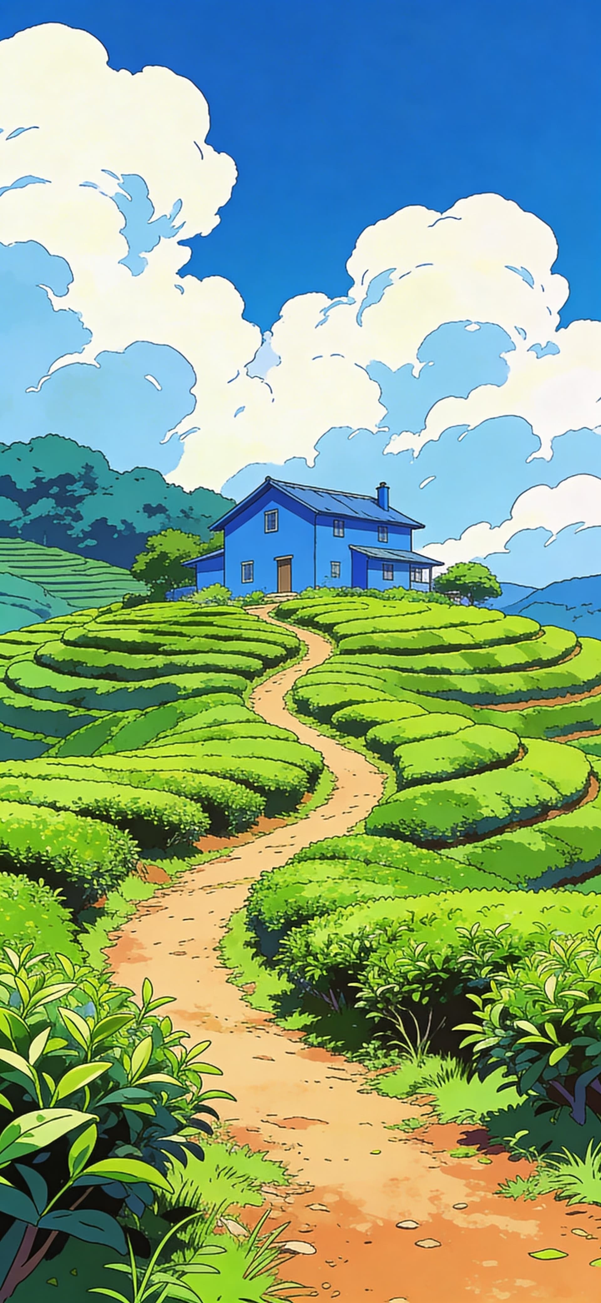 Green Tea Fields - Pro phone wallpaper