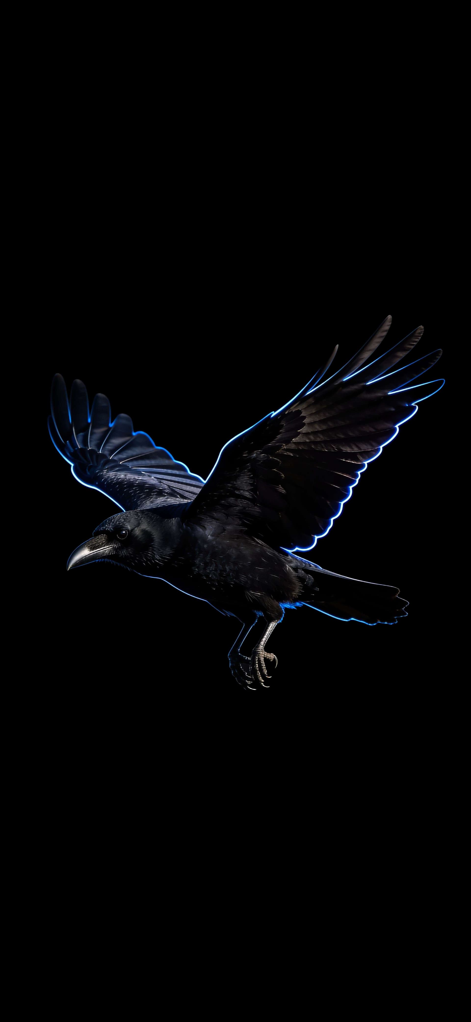 Midnight Raven Flight - Pro phone wallpaper