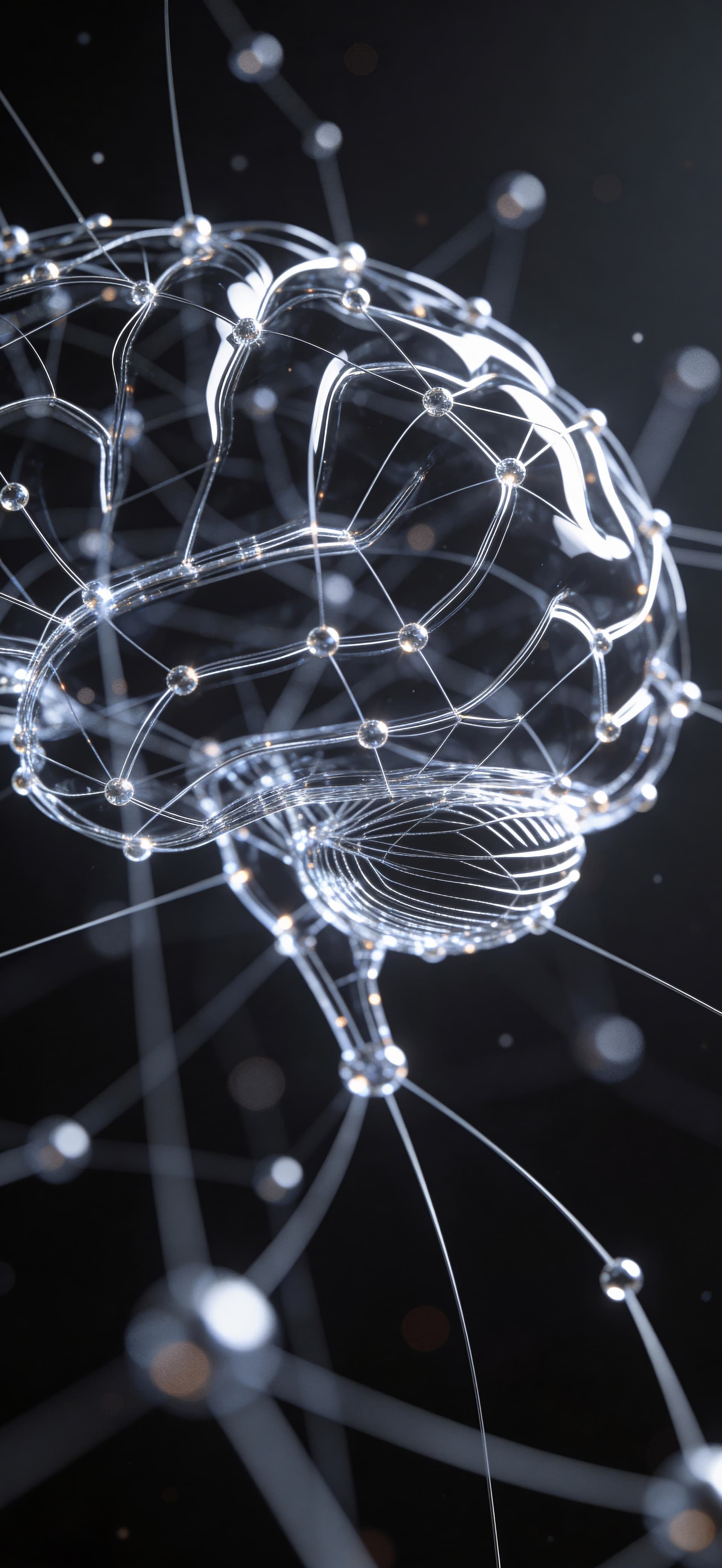 Wireframe Brain Network - free phone wallpaper