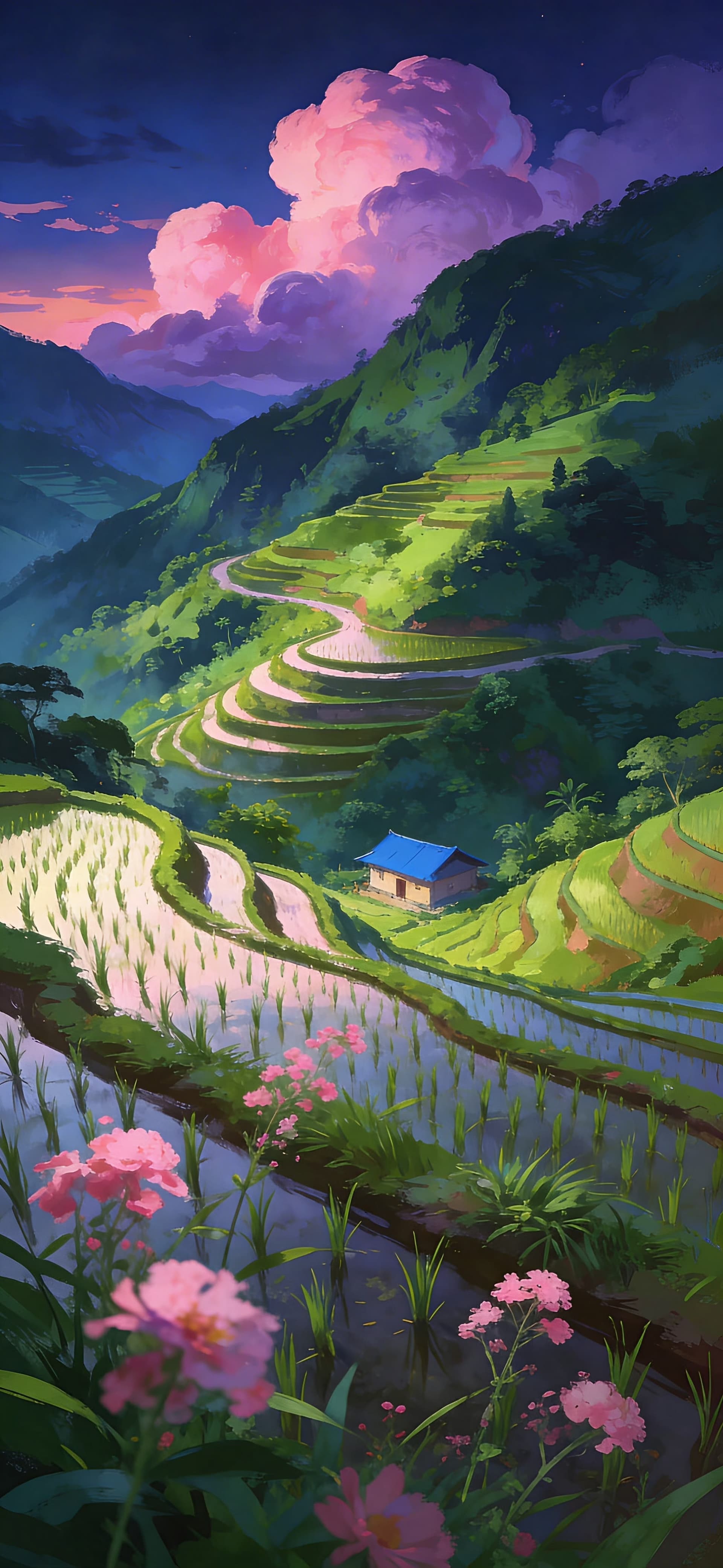 Terraced Pink Sunset - Pro phone wallpaper