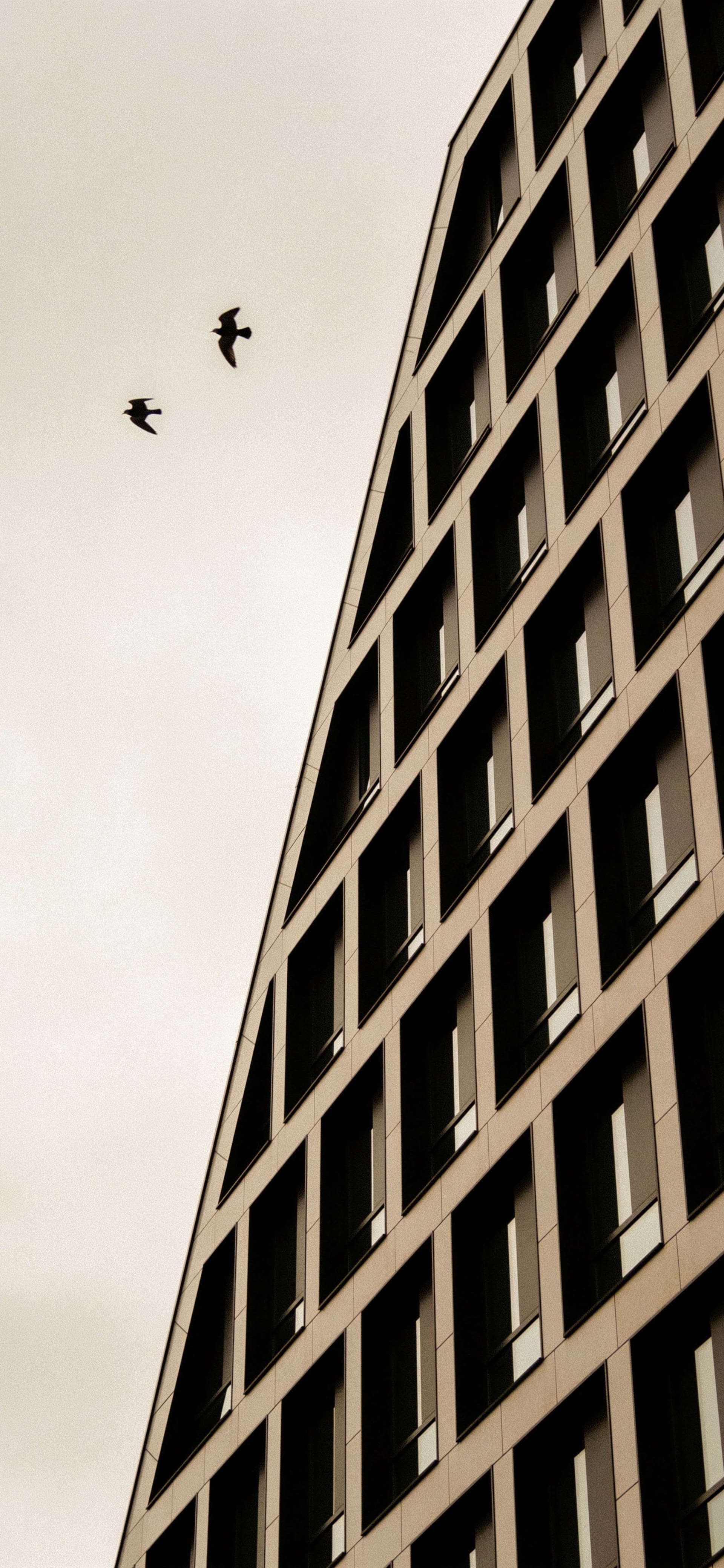 Minimalist Urban Grid - Pro phone wallpaper