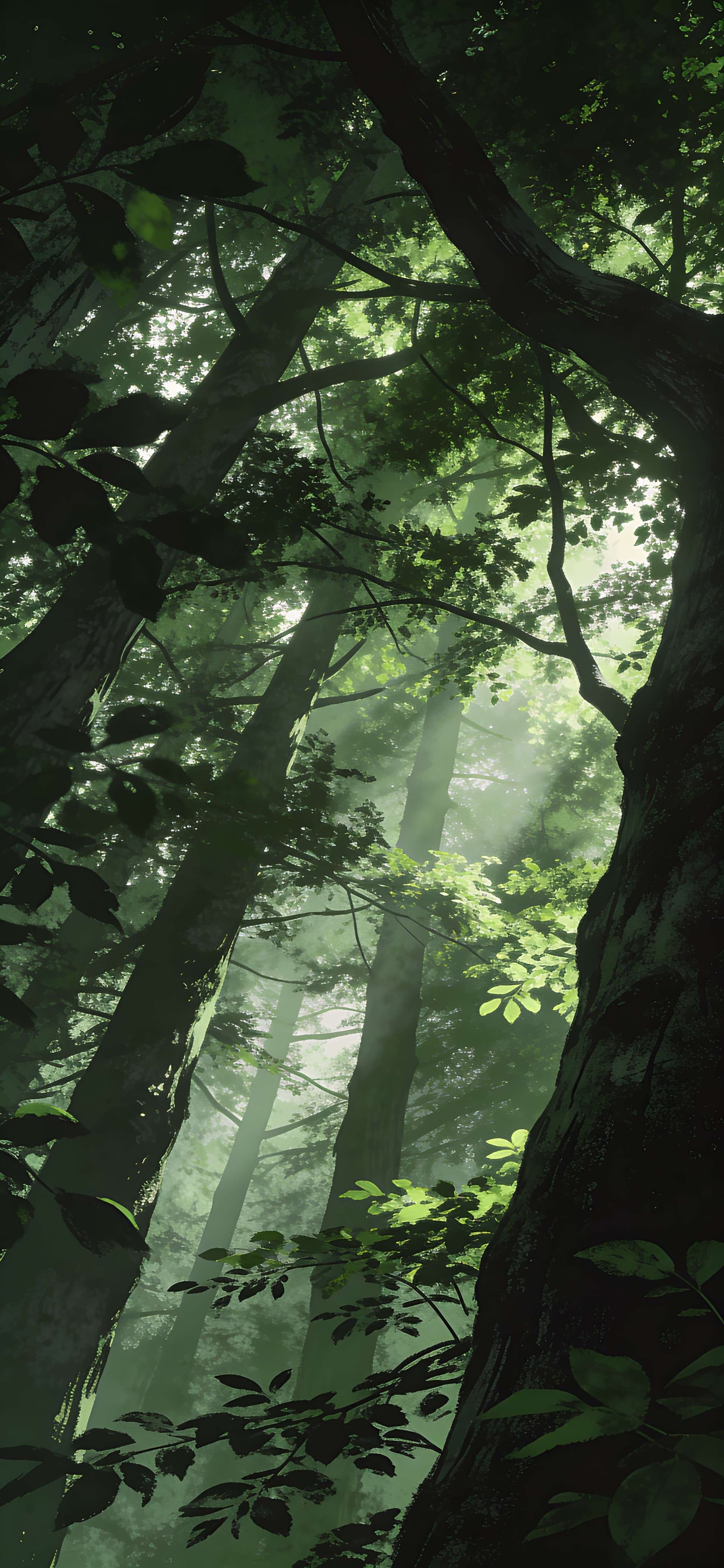 Misty Forest Light - free phone wallpaper