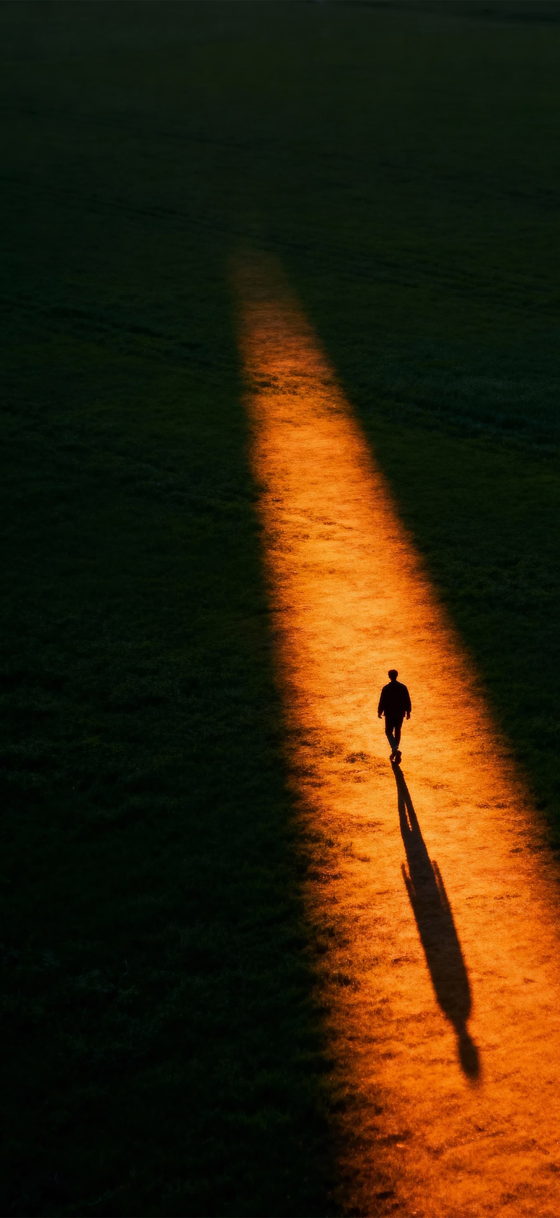 Path of Light 1 - free phone wallpaper