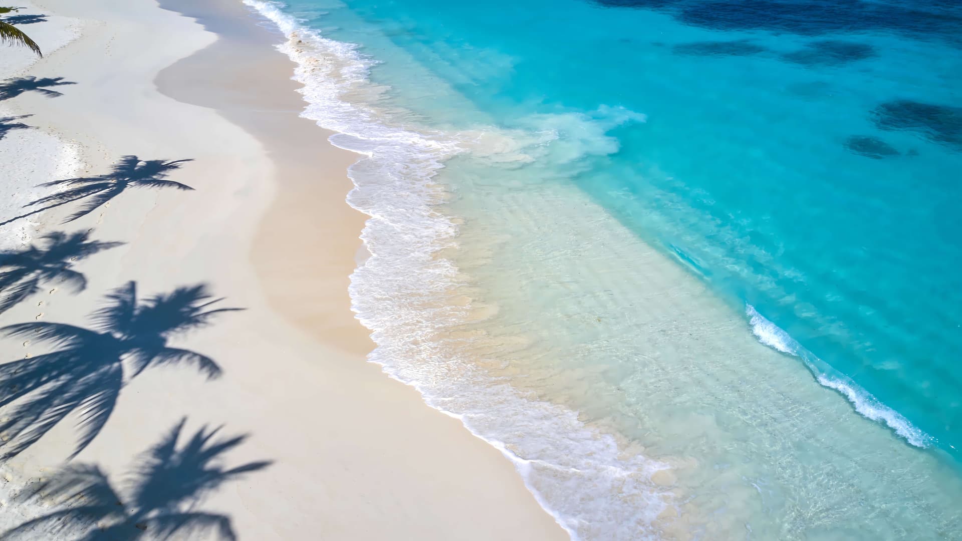 Sandy Shore Shadows - Pro desktop wallpaper