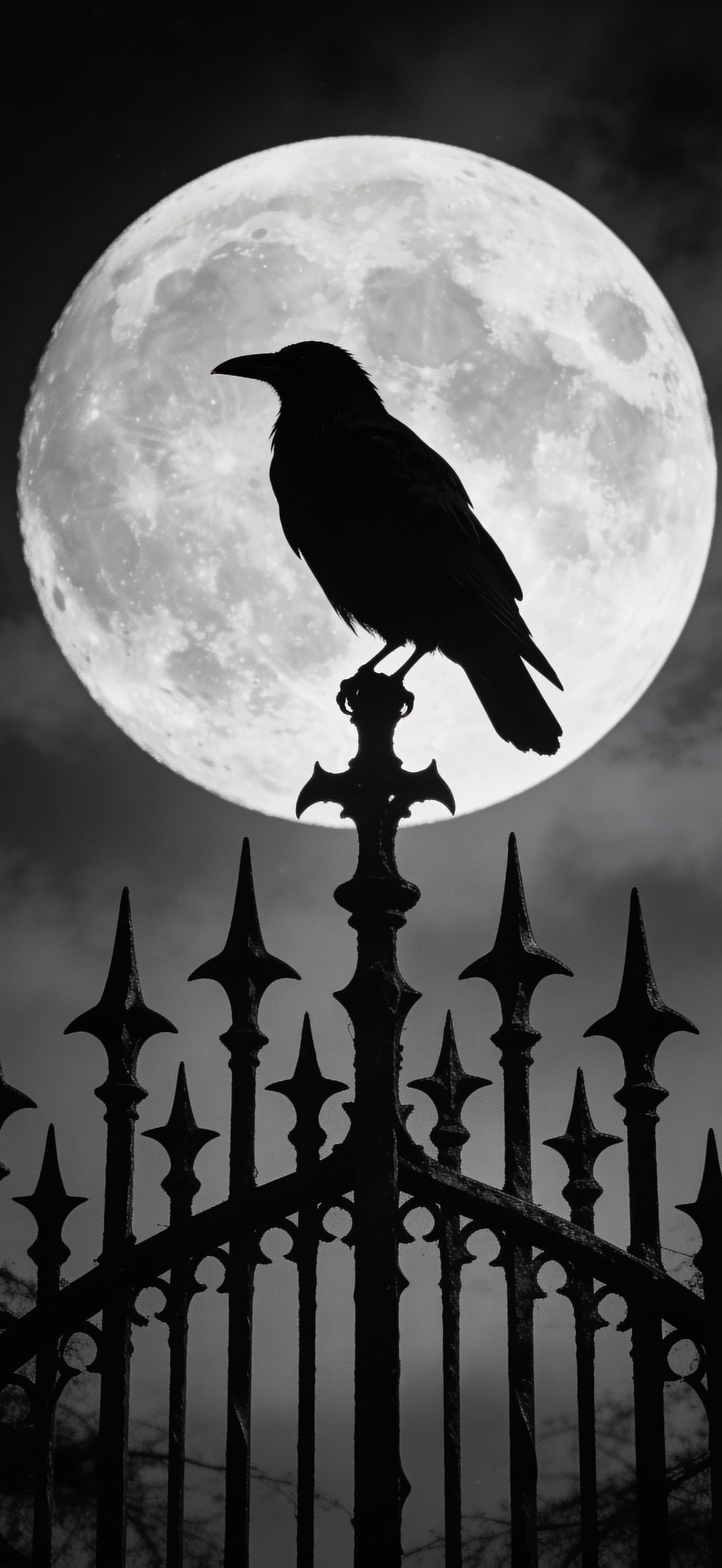 Moonlit Raven Perch - free phone wallpaper