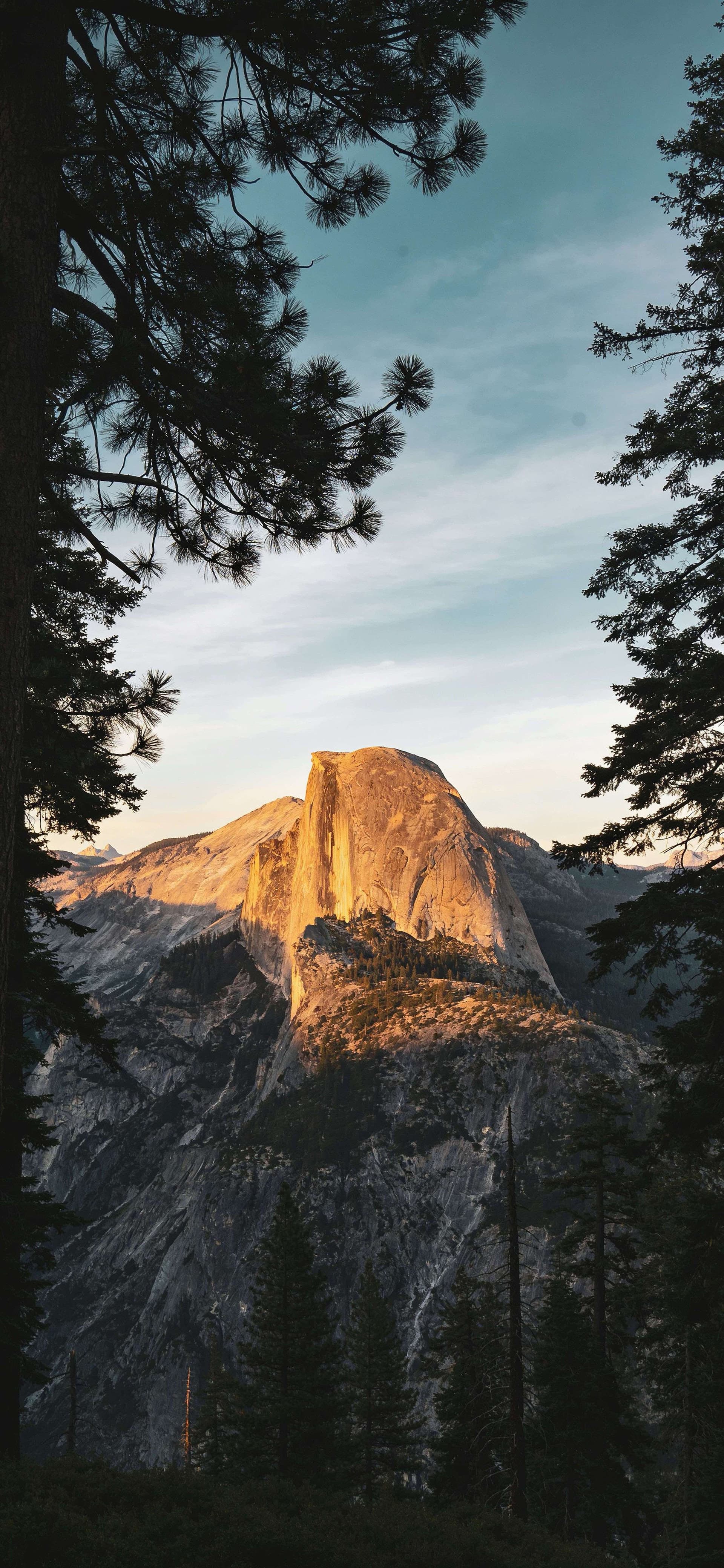 Golden Half Dome - free phone wallpaper