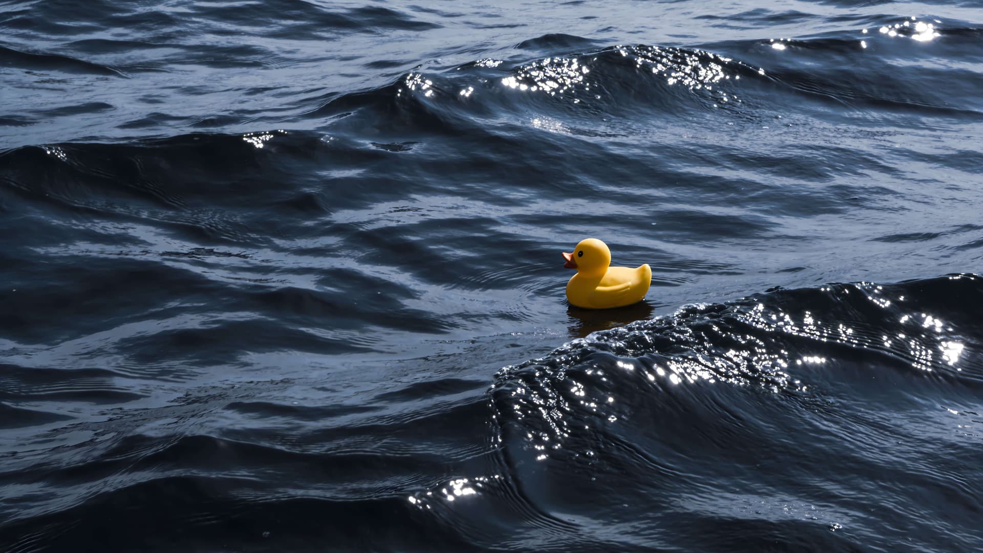 Lost Ocean Duck - free desktop wallpaper