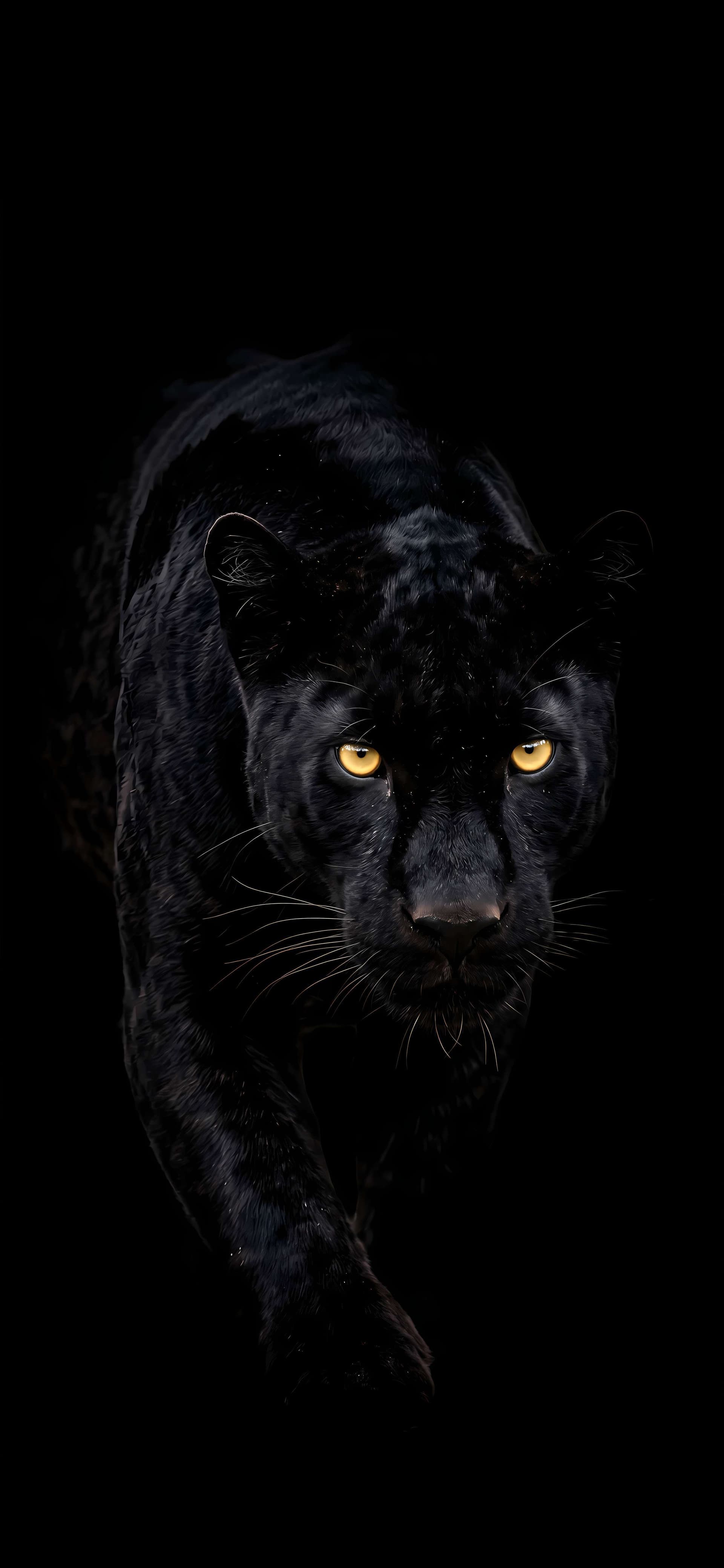 Shadow Panther Gaze - Pro phone wallpaper