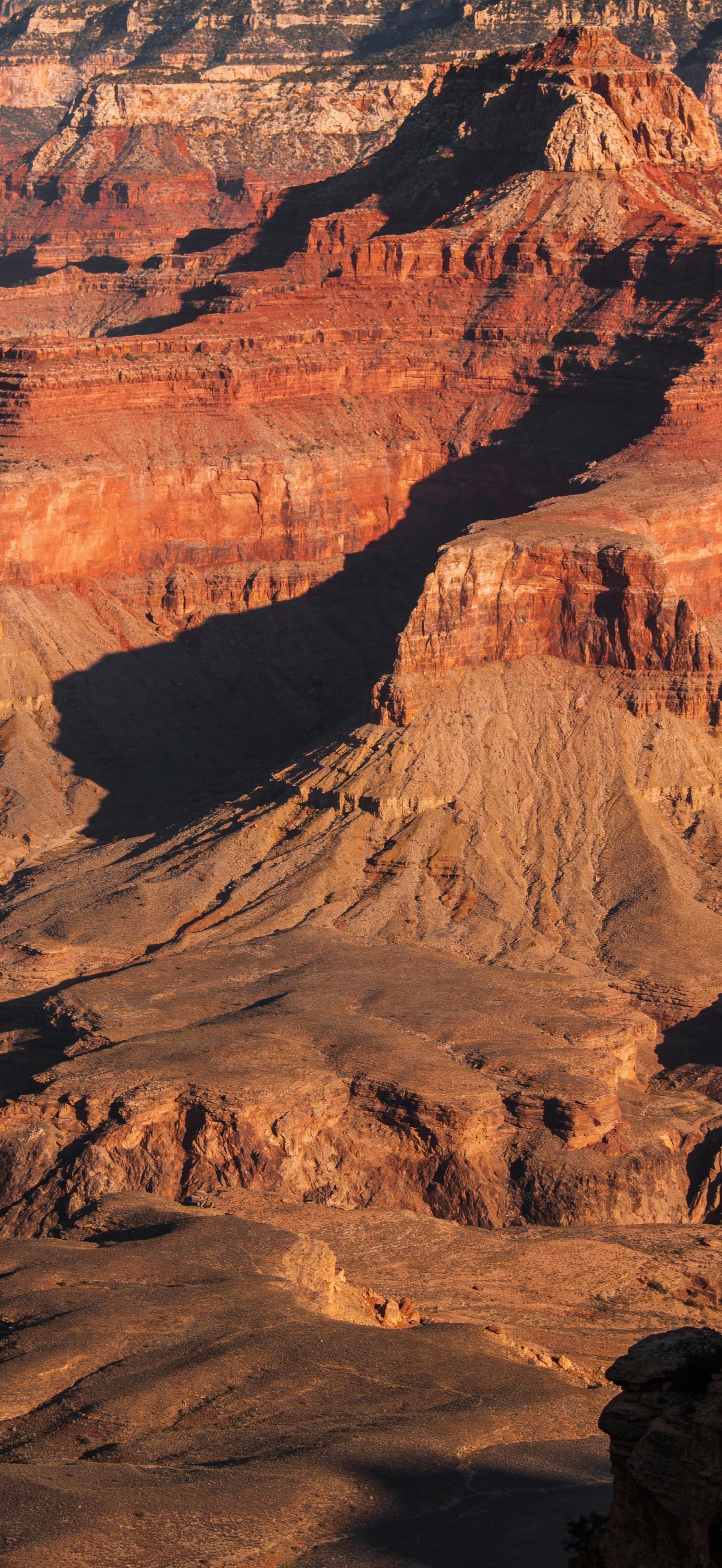 Grand Canyon Vista - Pro phone wallpaper